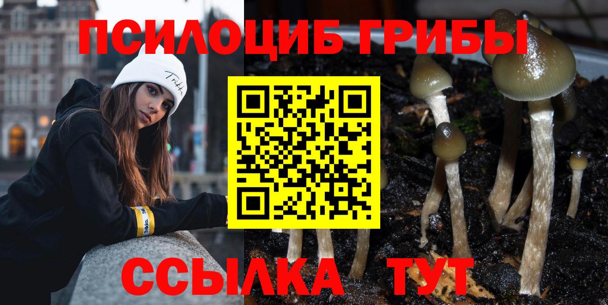Псилоцибиновые грибы Magic Shrooms  Псилоцибиновые грибы Cubensis  Ирбит  Вход с VPN 